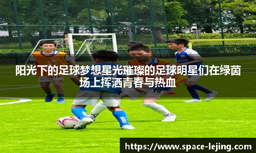 阳光下的足球梦想星光璀璨的足球明星们在绿茵场上挥洒青春与热血